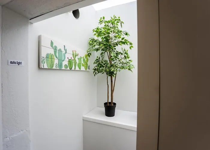 V Princesa. Piscina Con Piscina Climatizada Y Bbq 卡门港