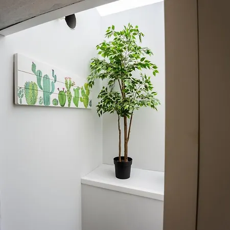 V Princesa Piscina Con Piscina Climatizada Y Bbq Puerto del Carmen (Lanzarote)